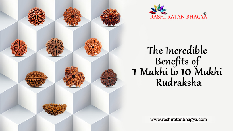 1 to 14 Mukhi Rudraksha Benefits