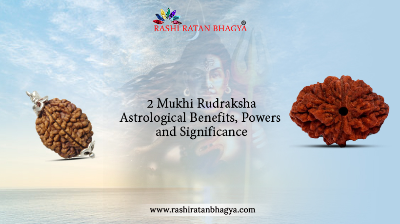 2 Mukhi Rudraksha Benefits, Powers, and Significance