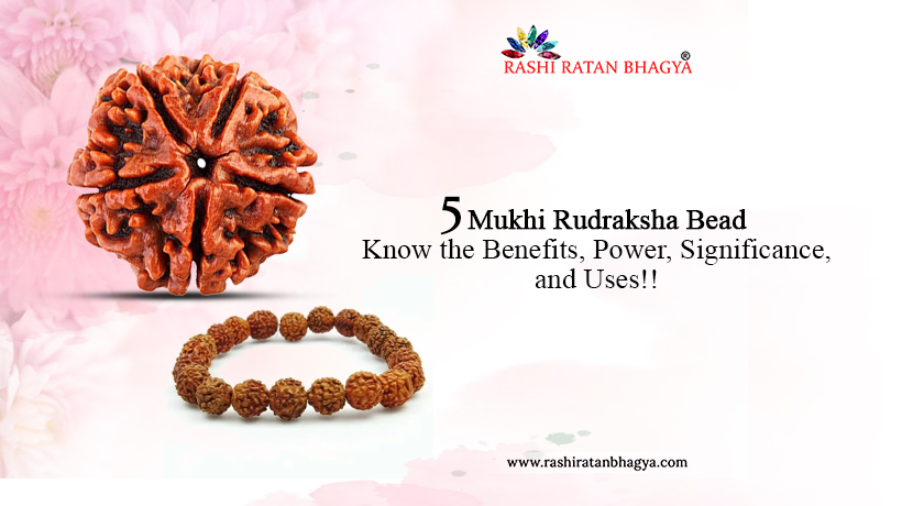 5 Mukhi Rudraksha Benefits, Power and Significance