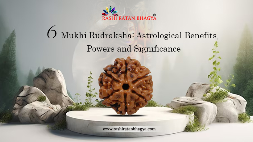 6 Mukhi Rudraksha: Significance and Benefits