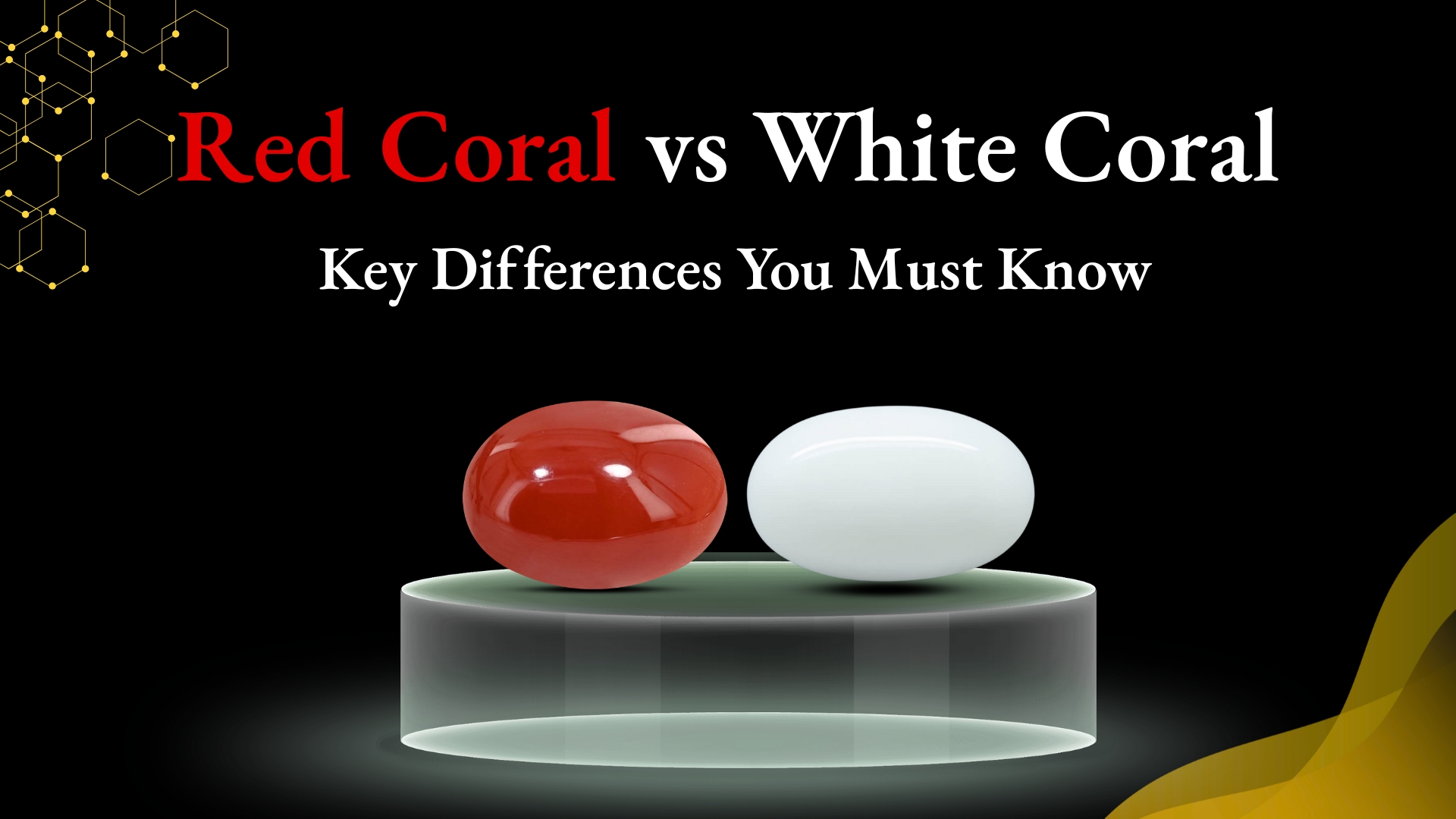 Red Coral vs White Coral: Key Differences You Must Know