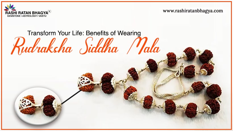 Transform Your Life: Benefits of Wearing Rudraksha Siddha Mala