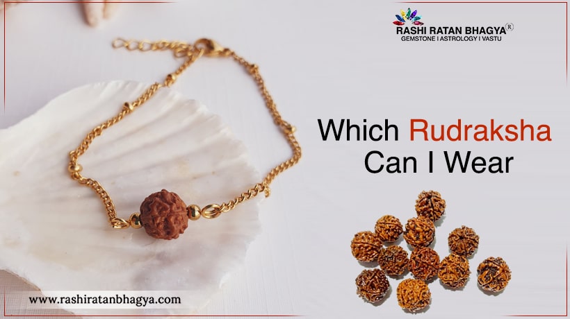 Which Rudraksha Can I Wear? Best Rudraksha For Me