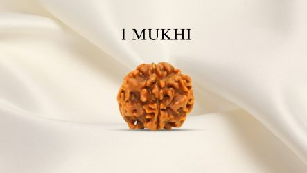 1 Mukhi Rudraksha