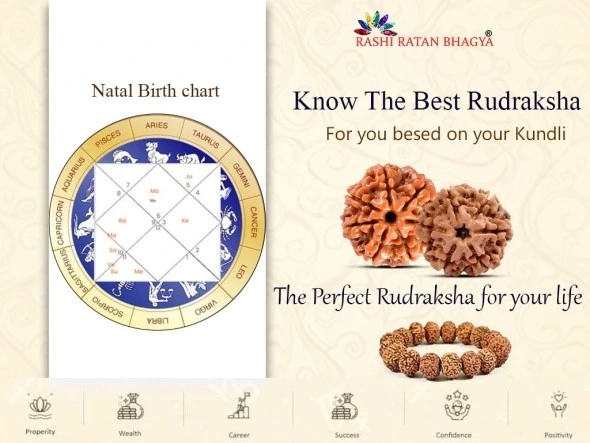 Rudraksh Recommendation